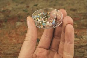 Read more about the article حذف فوق سریع سُرب توسط نانوپلاستیک‌ها می‌تواند خطرناک باشد