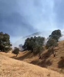 Read more about the article شعله‌ور شدن ارتفاعات نخجیر ایلام: بیش از 4 هکتار مرتع طعمه حریق شد