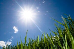 Read more about the article هواشناسی البرز درباره افزایش دما و ماندگاری هوای گرم هشدار سطح زرد صادر کرد