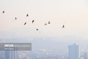 Read more about the article هوای مشهد برای گروه‌های حساس ناسالم است: شاخص‌ها روی عدد ۱۰۹