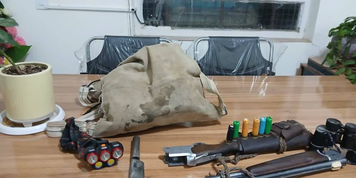 شکارچی، قبل از پهن کردن دام، خودش شکار شد