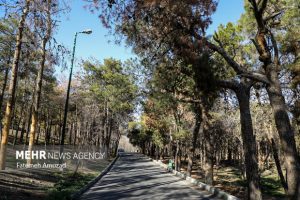 Read more about the article درخواست واگذاری اراضی برای ایجاد بزرگ‌ترین پارک جنگلی استان بوشهر