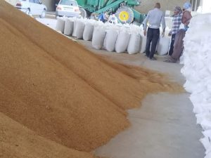توزیع بیش از ۸۰۰ تن نهاده دامی با ارز ترجیحی در کهگیلویه