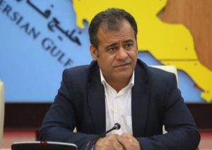 تکمیل زنجیره ارزش پتروشیمی در بوشهر دنبال می شود