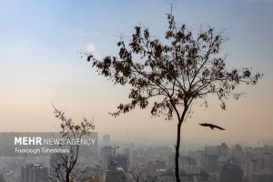 Read more about the article گرد و غبار مهمان ناخوانده پایتخت؛ نفس تهران تنگ شد