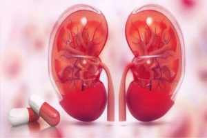 Read more about the article ایران نخستین مولکول داروی کاهش رد پیوند کلیه را تولید کرد