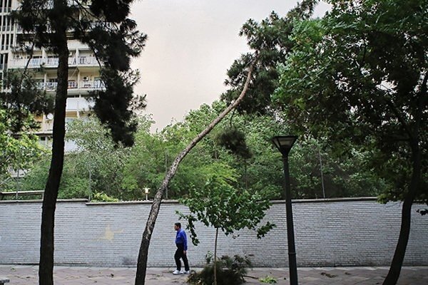 وزش شدید باد استان زنجان را فرا می گیرد
